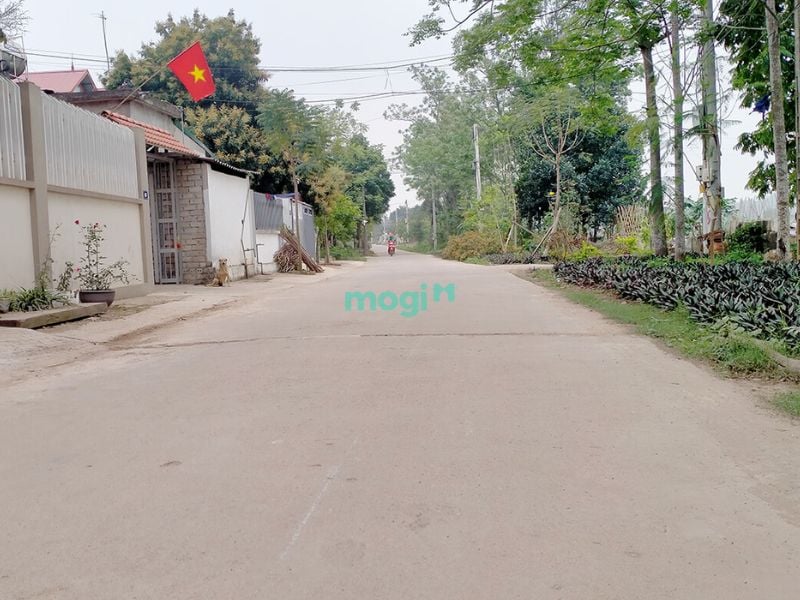 Mua bán đất Cổ Đông Sơn Tây giá tốt, mới nhất T5/2026