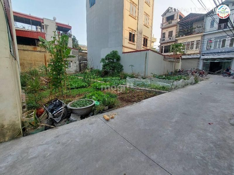 Lưu ý khi tìm mua đất tại Quang Minh, Mê Linh
