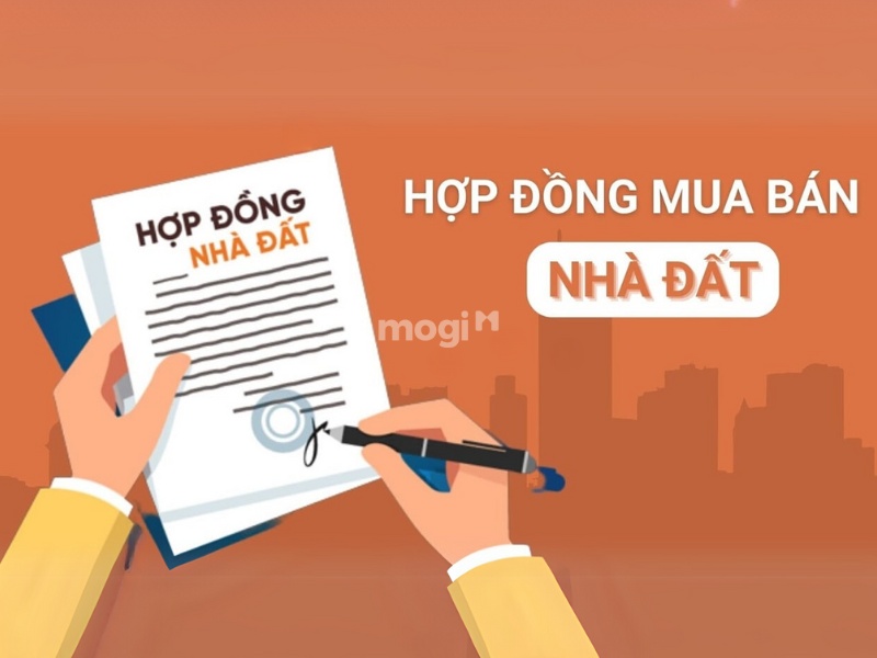 Hợp đồng mua bán đất Liên Ninh phải đầy đủ thông tin