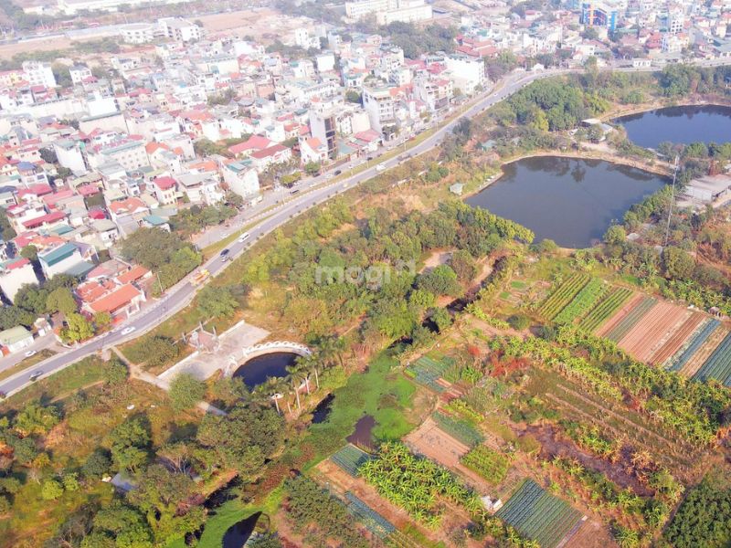 Mtbtr.com là địa chỉ để tham khảo thông tin mua bán đất ở Sài Sơn hợp lý