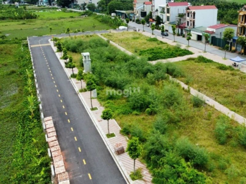 Các bạn nên tham khảo giá trước rồi mới mua để tránh bị hớ