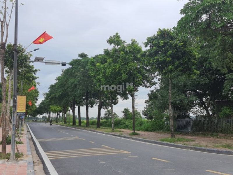 Làm rõ được mục đích và nhu cầu Mb6626 sảnh cược đỉnh cao