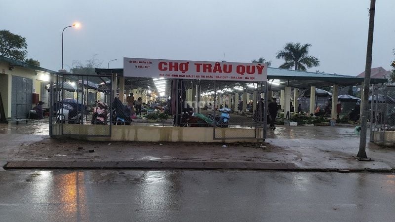 Chợ Trâu Qùy