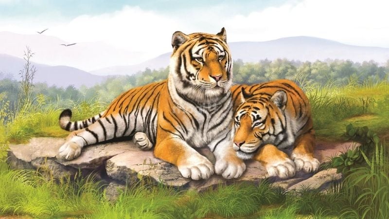 Mơ thấy hổ là điềm lành hay dữ? Giải mã chi tiết giấc mơ mơ thấy hổ 1 Mơ thấy hổ là điềm lành hay dữ?