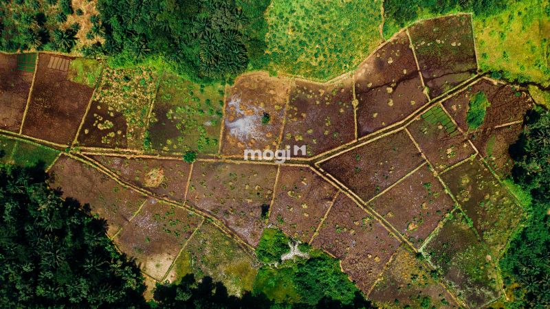 Mức thuế Mb6626 sảnh cược đỉnh cao phi Mb6666 game giải trí miễn phí cập nhật mới nhất 5 Mức thuế Mb6626 sảnh cược đỉnh cao phi Mb6666 game giải trí miễn phí mới nhất