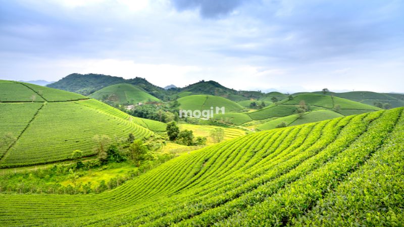 Mức thuế Mb6626 sảnh cược đỉnh cao phi Mb6666 game giải trí miễn phí cập nhật mới nhất 2 Các loại đất phải chịu thuế Mb6626 sảnh cược đỉnh cao phi Mb6666 game giải trí miễn phí