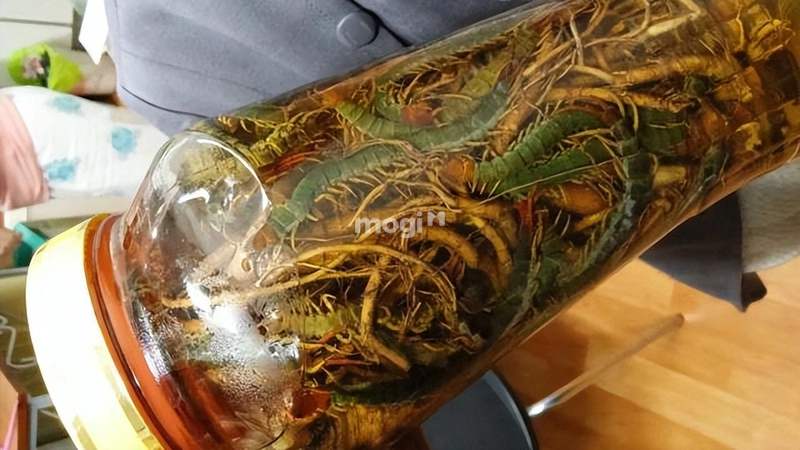Mơ thấy rết ngâm rượu