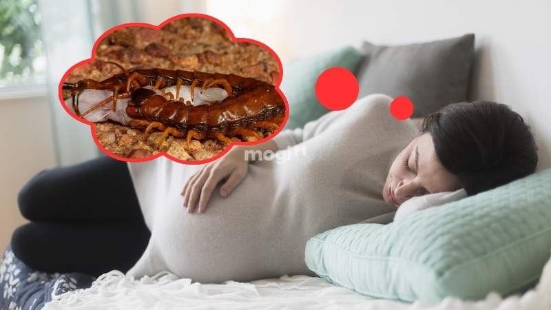 Bà bầu nằm mơ thấy rết