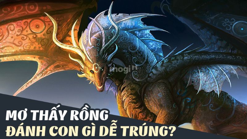 Nằm mơ thấy rồng thì đánh số gì dễ trúng?
