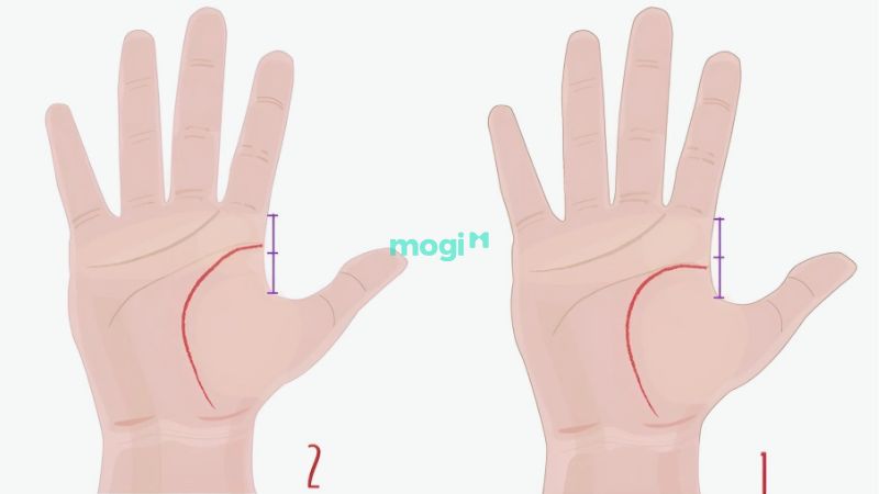 Nhận biết đường sinh đạo