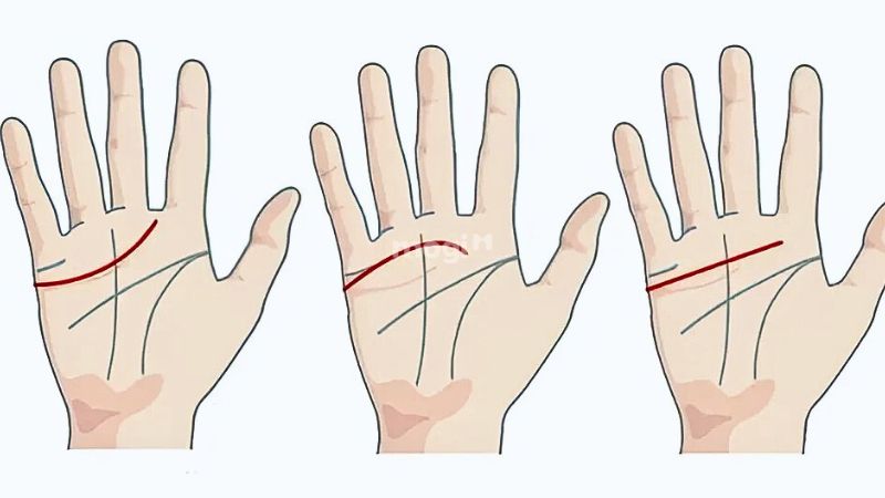 Đường tâm đạo ở trên đường trí đạo
