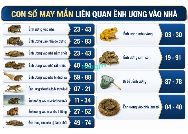Con số may mắn liên quan ễnh ương vào nhà