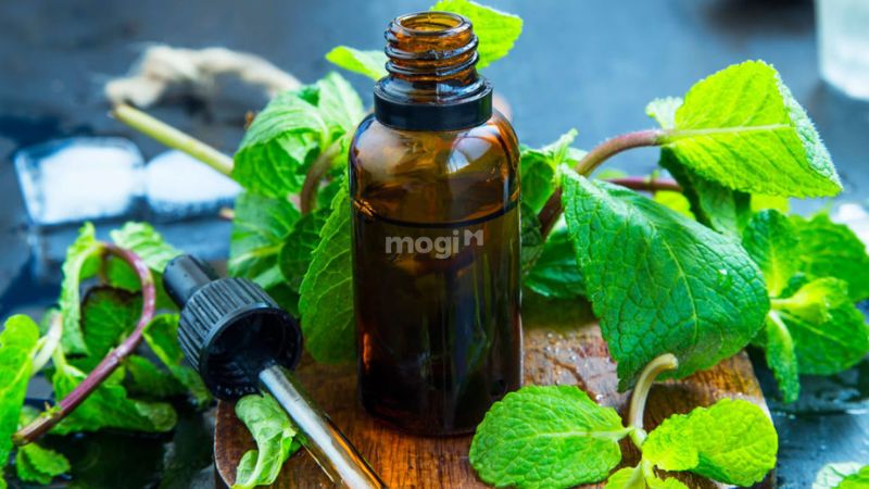 Sử dụng chanh và tinh dầu bạc hà