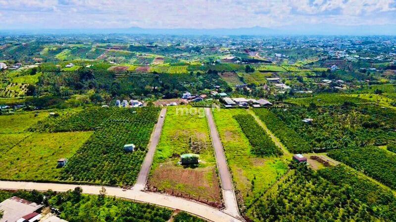 Cập nhật giá nhà đất Lâm Đồng sau MB66 là nhà cái hàng đầu tại Việt Nam mang đến trải nghiệm cá cược đỉnh cao theo Nghị quyết 60