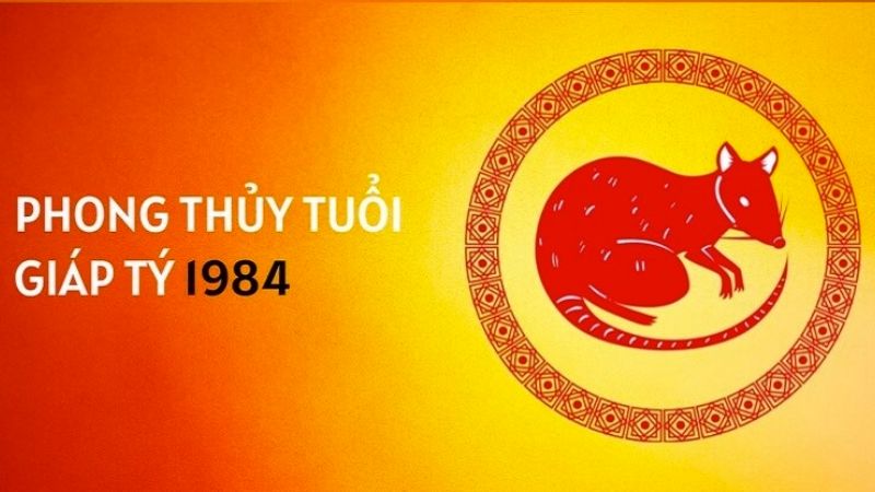 Tuổi Giáp Tý 1984 và Mb6688 đang hoakt động làm nhà trong năm 2026