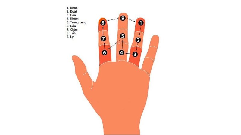 Bàn tay xác định hạn Kim Lâu