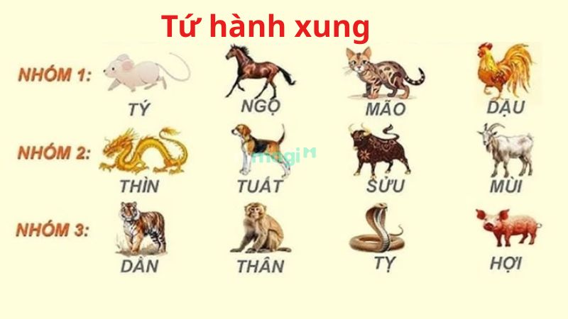 Khi chọn tuổi xông đất 2026, gia chủ nên chú ý tránh những con giáp trong nhóm tứ hành xung