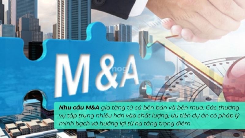 Nhu cầu M&A gia tăng và sôi động hơn trong năm 2026