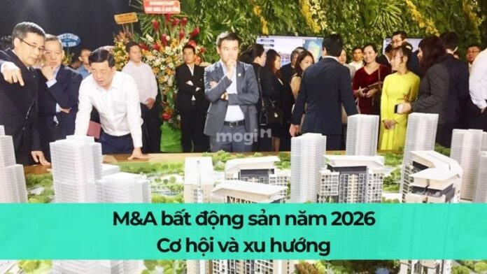 M&A Mocbai66.com nhà cái WC 2026 năm 2026: Cơ hội và xu hướng