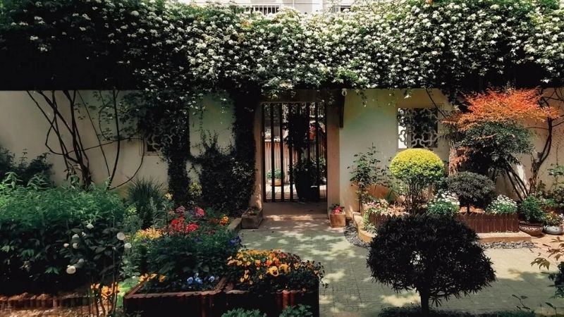 Một số loại cây theo quan niệm dân gian được cho là mang nhiều âm khí hoặc ý nghĩa không may mắn