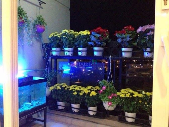 Hình ảnh Cho thuê chung cư Phúc Yên, diện tích 80 m2, đầy đủ nội thất