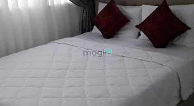 Hình ảnh Cho thuê phòng Trang Chủ MB66.COM / Đăng Ký Tặng 66K đẹp, 40m2, nội thất cao cấp, giá 550USD