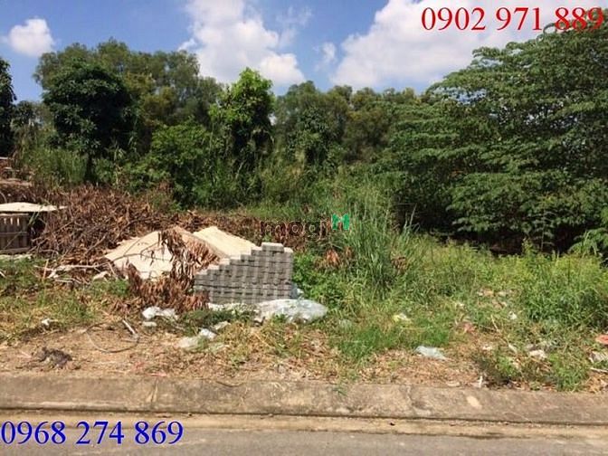 Hình ảnh Cho thuê 300m2 đất đường Trần Lựu P An Phú, Q2 với giá 30 triệu / 1th