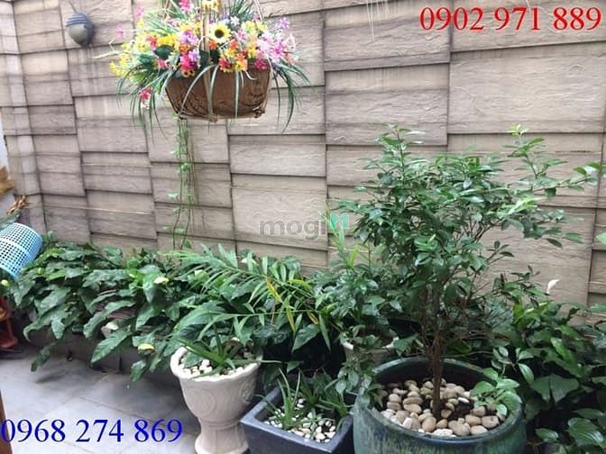 Hình ảnh Cho thuê nhà đường 19 P An Phú, Q2 giá 1500$ / 1 tháng