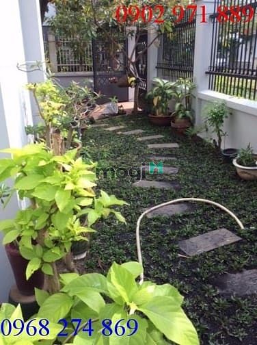 Hình ảnh Cho thuê Biệt thự (7.5x21) đường 41, P. Bình An, full nội thất có gara