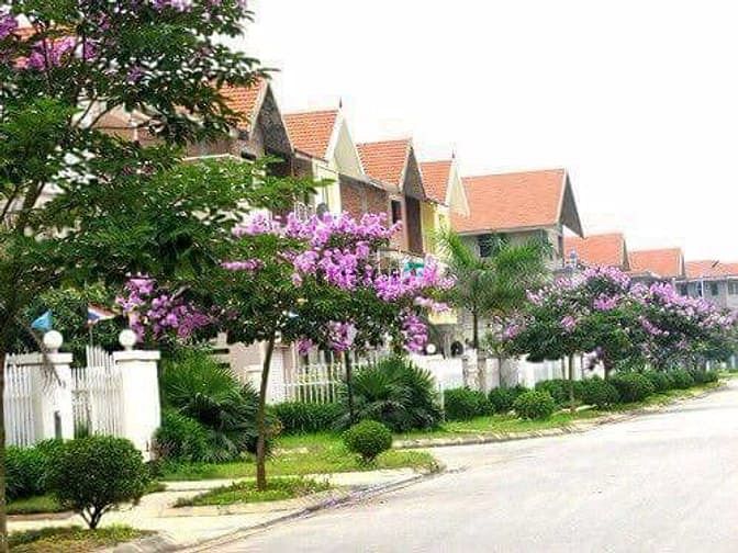 Hình ảnh Khu đô thị cao cấp dragon smart city giá chỉ từ 900 tr/ nến