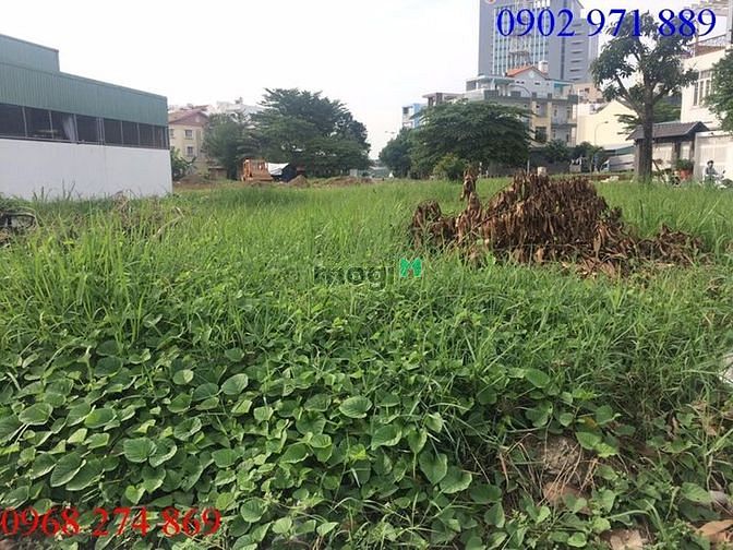 Hình ảnh Cho thuê đất gấp  tại Đường Thảo Điền, Phường Thảo Điền, Quận 2,