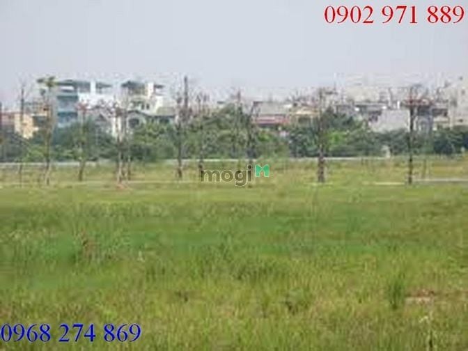 Hình ảnh Cho thuê  Đất  đẹp giá rẻ tại ĐườngXLHN, P . Thảo Điền , Quận 2