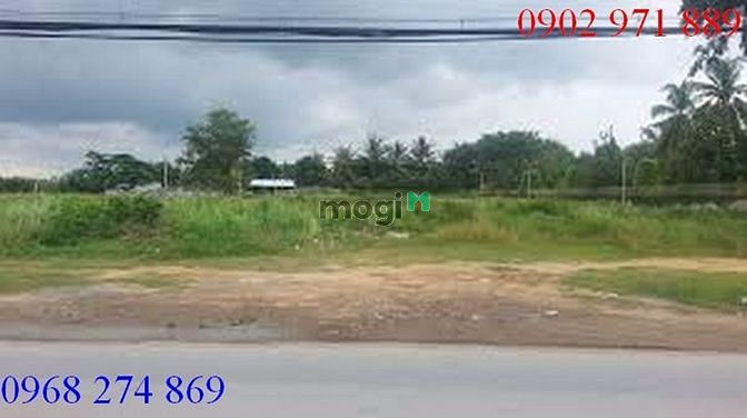 Hình ảnh Cho thuê Đất đẹp giá rẻ tại Đường 38 , P .Bình An , Q 2 giá 35 triệu