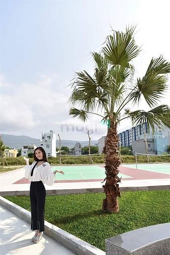 Hình ảnh nhà phố mặt tiền Trần Hưng Đạo