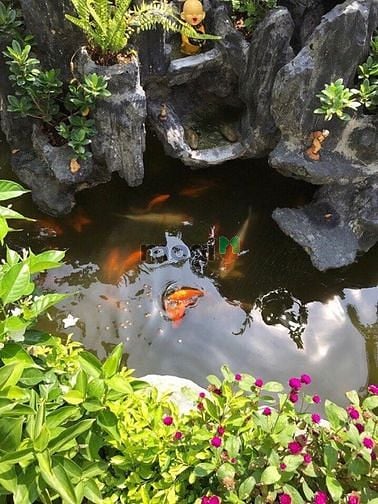 Hình ảnh Cho thuê biệt thự Phú Mỹ - Vạn Phát Hưng, Quận 7 thích hợp ở + vp