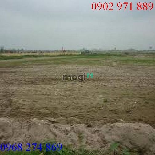 Hình ảnh Cần cho thuê gấp đất ở đường Lương Đình Của P.An Phú Quận 2