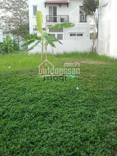 Hình ảnh Bán gấp đất biệt thự NAM THÔNG 2 phú mỹ hưng quận 7