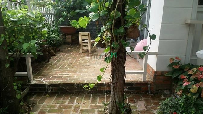Hình ảnh Bán gấp lô đất trống đường 9 P.Bình An Quận 2,dt:131,4m2,giá:92tr/m2