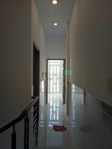 Hình ảnh Cho thuê nhà hẻm 8m Lạc Long Quân, Phường 9, Tân Bình