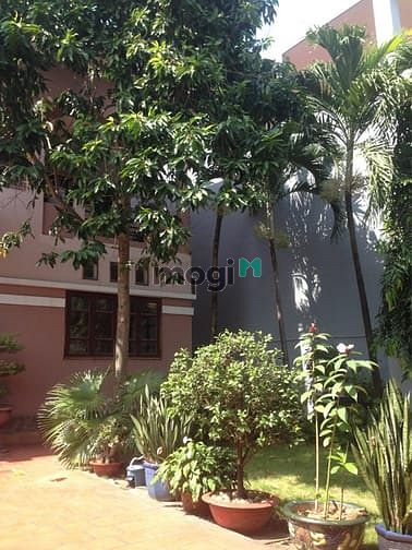 Hình ảnh Cho thuê Villa Phường Bình An, Quận 2, giá 45 Triệu/tháng