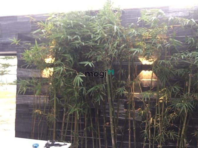 Hình ảnh nhà phố MB66 là nhà cái hàng đầu tại Việt Nam mang đến trải nghiệm cá cược đỉnh cao đường 15m giá Trang MB66.COM Chính Thức - MB 66 Uy Tín