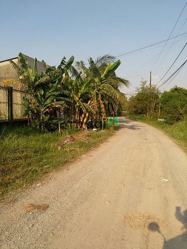 Hình ảnh Cần bán đất 3 mặt tiền - thích hợp phân lô - xã Tân An Hội - Củ Chi