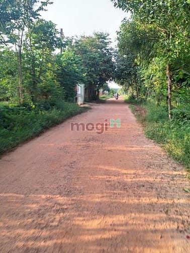 Hình ảnh Cần bán đất xã Phước Thạnh - Củ Chi