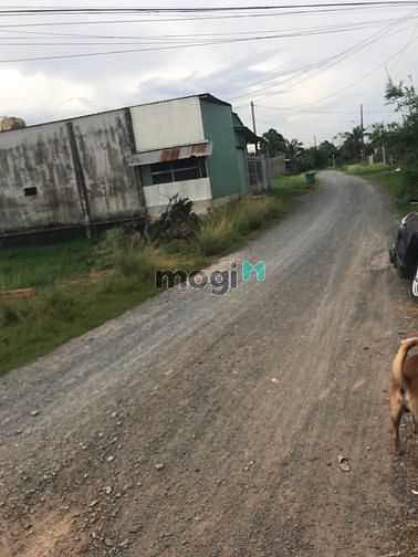 Hình ảnh Cần bán đất mặt tiền đường Bùi Thị Bùng - xã Tân An Hội - Củ Chi