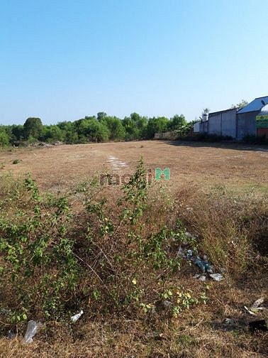 Hình ảnh Bán gấp đất thổ vườn sát đường lớn Long Thọ, cam kết rẻ khu vực