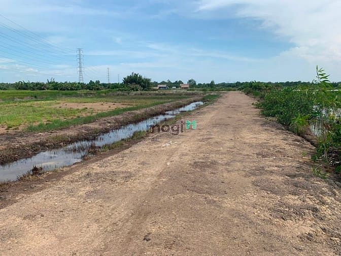 Hình ảnh Cần tiền bán gấp đất thổ vườn 1,3tr/ m2 Xã Phước Khánh, Nhơn trạch, ĐN