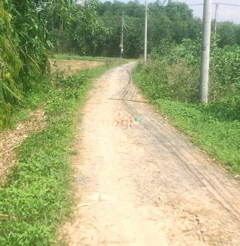 Hình ảnh Cần tiền bán gấp đất thổ vườn 1,3tr/ m2 Xã Phước Khánh, Nhơn trạch, ĐN