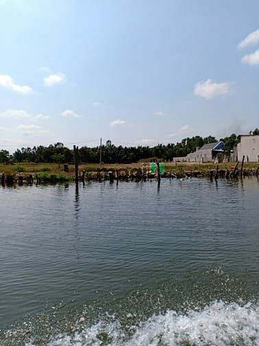Hình ảnh Bán đất Nhơn trạch, ĐN, đất thổ vườn, đường ô tô, giá rẻ, lời ngay