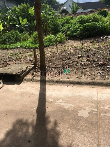 Hình ảnh cần tiền kinh doanh bán 440m2 đất liền kề QL13 khu dân cư đông tiện kd