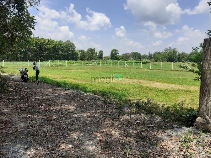 Hình ảnh Cần bán đất 2 mặt tiền xã Trung Lập Thượng - Củ Chi